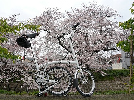 090405_brompton