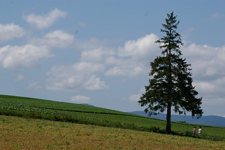 IMGP1099