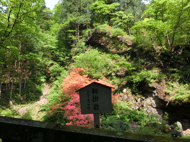 CIMG0466