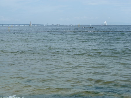 二色の浜海岸_3