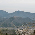 立雲峡　第一展望台の桜と竹田城