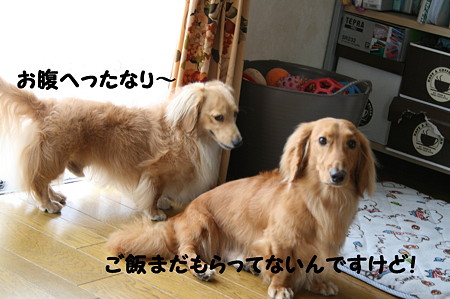 飯まだ?