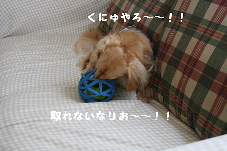 取れない・・1