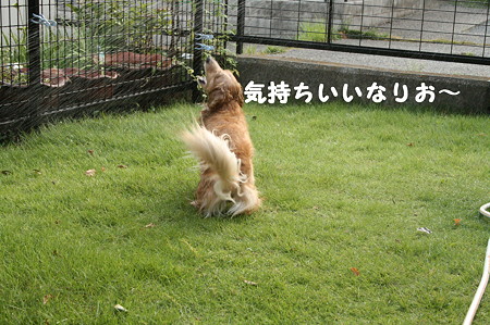 水遊び 3