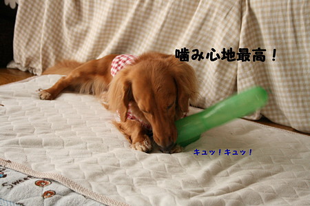 東矢くんの好きな物 4