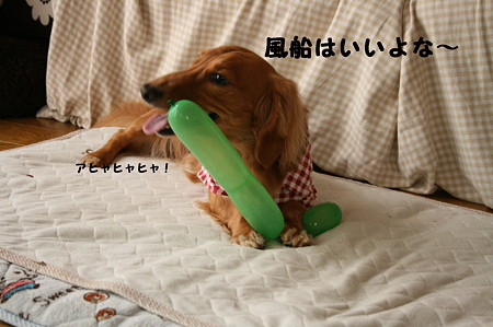 東矢くんの好きな物 3