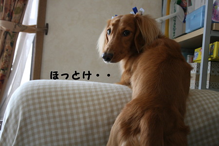 トリミング後3