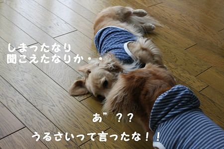 叱られ中 3