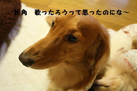 眠れない 5