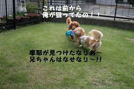 だっこちゃん 1
