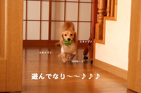 摩耶さん