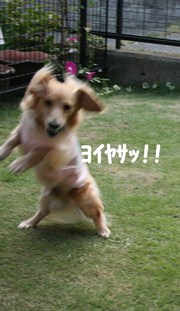 ピンボケだけど~ おまけの1枚