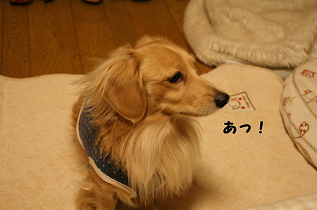 摩耶さん