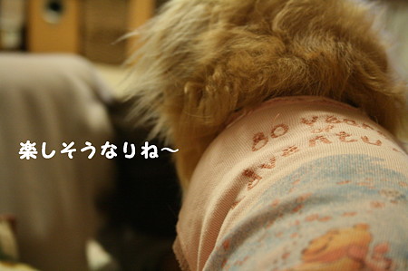 パパと遊ぼう おまけ 1