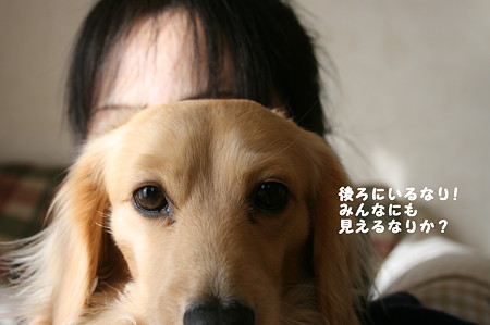 摩耶のつぶやき 4