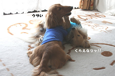 摩耶パンチ!