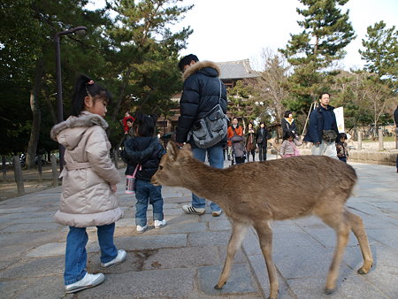 せんべい持ってないの?