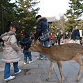 せんべい持ってないの？