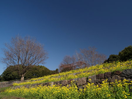 P3150059★