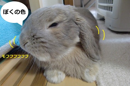 クレヨン6
