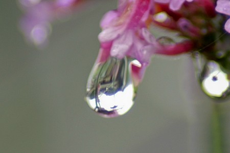 水玉の世界6