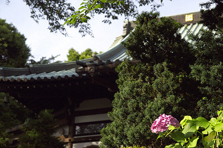 妙法寺 01