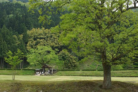 20090503_123102_0