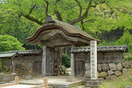 20090503_123510_0