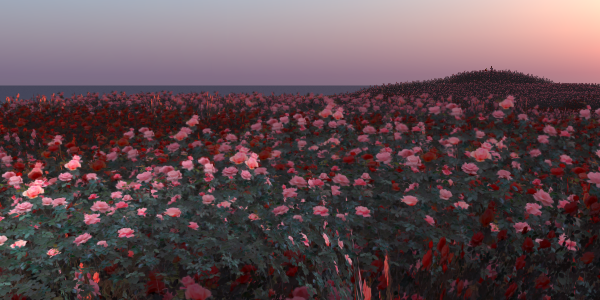 0908_014 0908_014