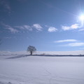 冬の美瑛（北海道）