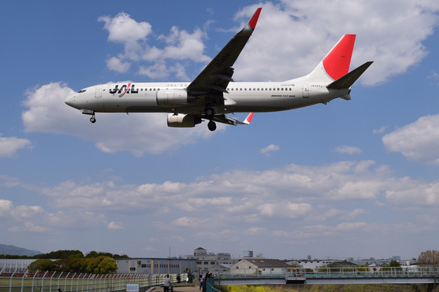 大阪空港で撮りました JAL 737-800