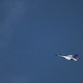 Photos: F-2B